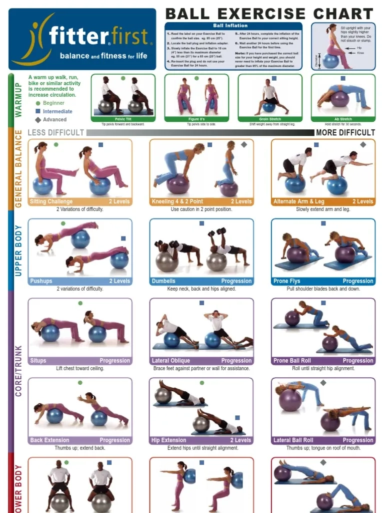 Stability Ball Exercises Printable