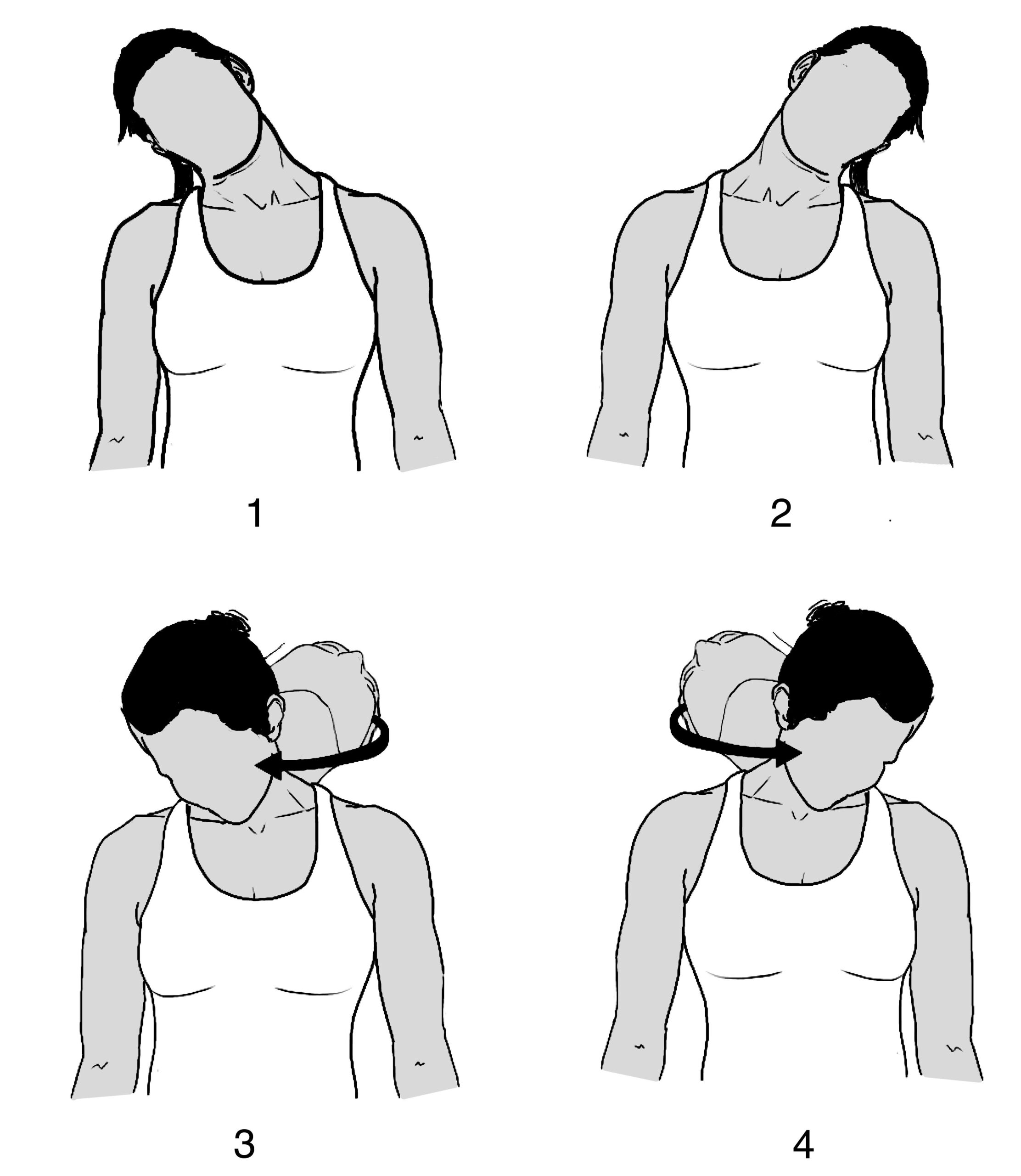 Spine Conditioning Program OrthoInfo AAOS