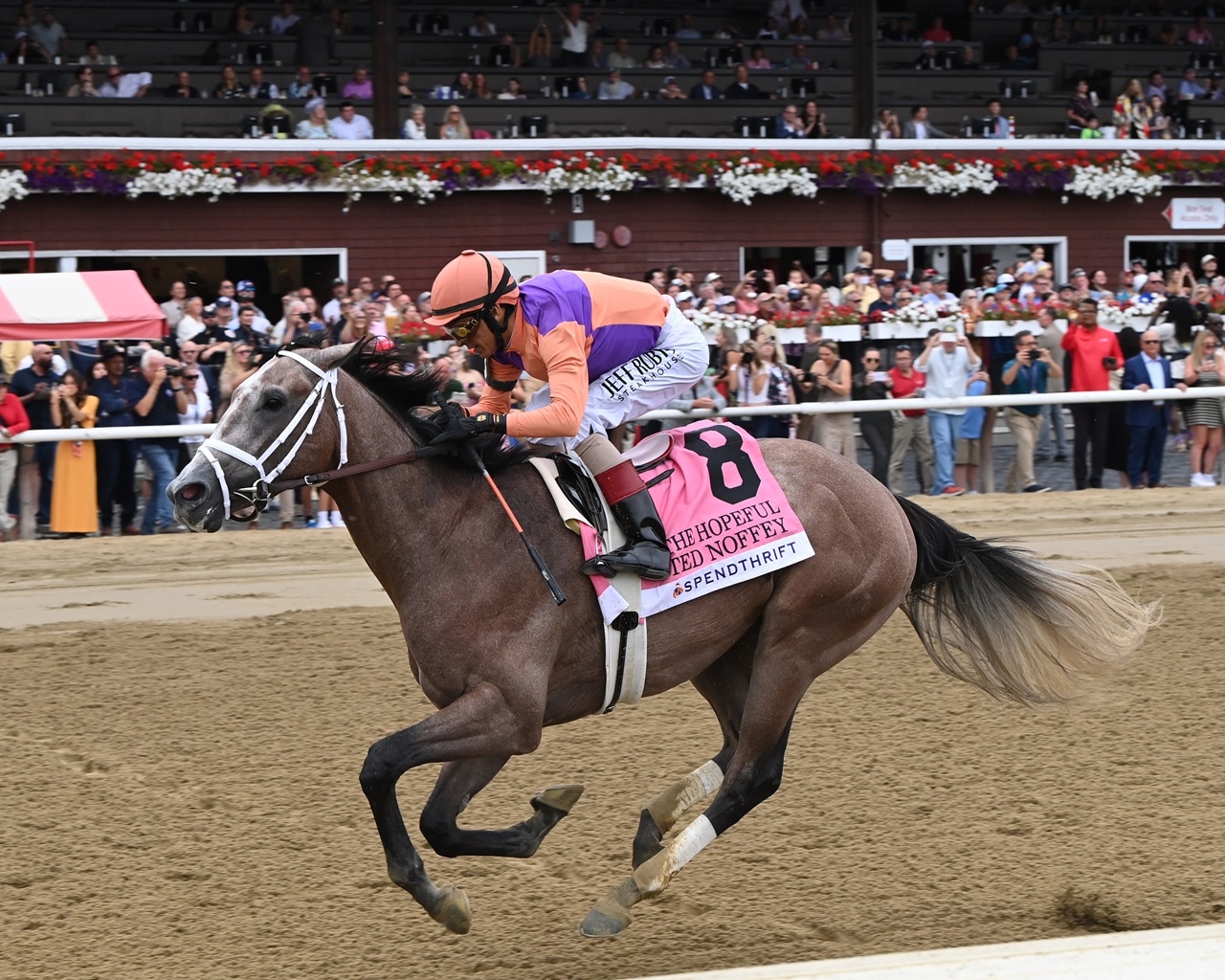 Top 12 To Follow On The Road To The 2026 Kentucky Derby News 