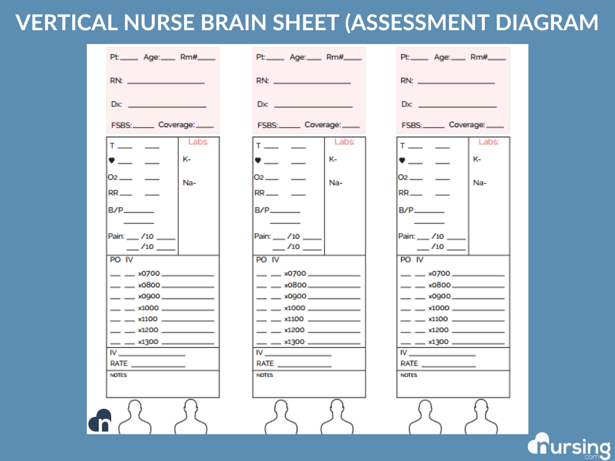Printable Nurse Brain Sheet Pdf