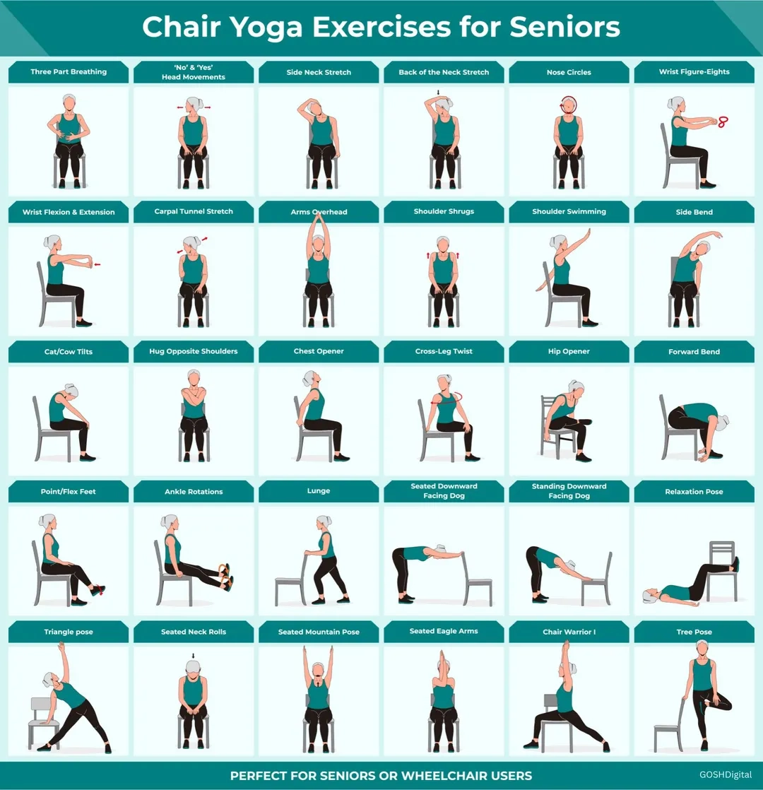 Yoga Routine Seated Yoga For Seniors Printable Chair Exercises For 